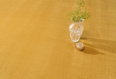 INKU TEP_Deluxe_Balance_Palais_253_det_q